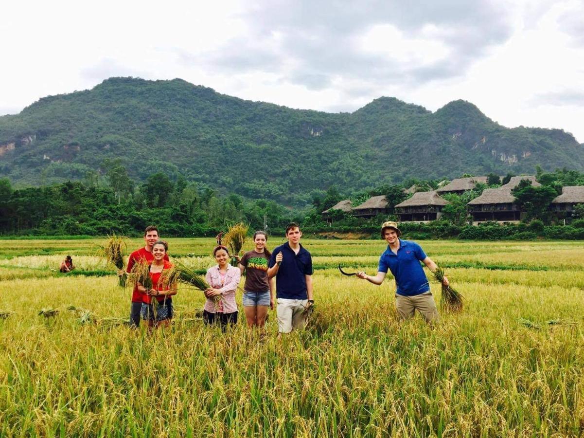 Hakuna Matata Homestay Mai Châu Ngoại thất bức ảnh