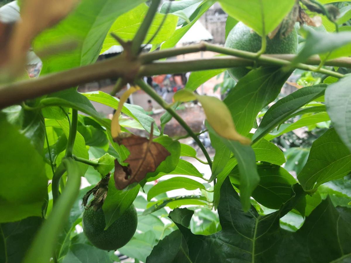 Hakuna Matata Homestay Mai Châu Ngoại thất bức ảnh